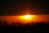 Imagine atasata: IMG_1177.JPG